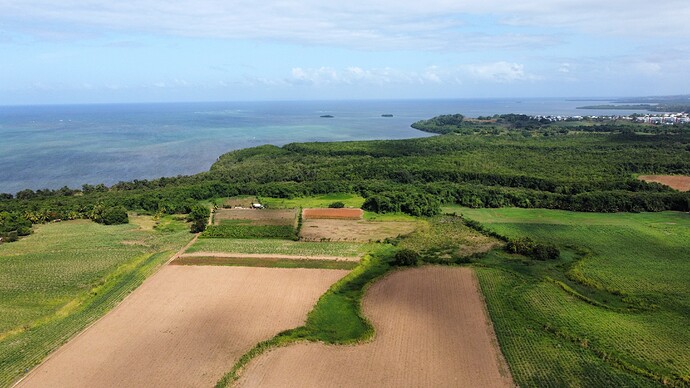 Photo_6554147_DJI_547_jpg_5113906_0_202162415946_photo_original.jpg